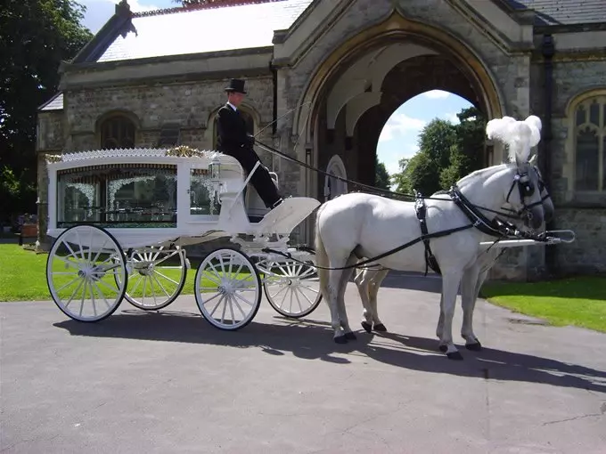 Wedding Horse & Carriage Canvey Island