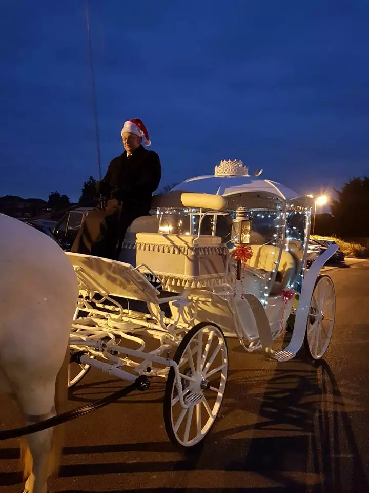 Horse Drawn Weddings Carriage Hire in Braintree