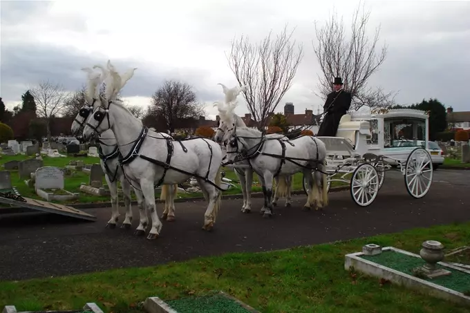 Prom Horse and Carriage Hire Colchester 