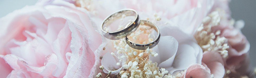 Why Choose A Horse And Carriage Wedding Why Choose A Horse And Carriage Wedding
