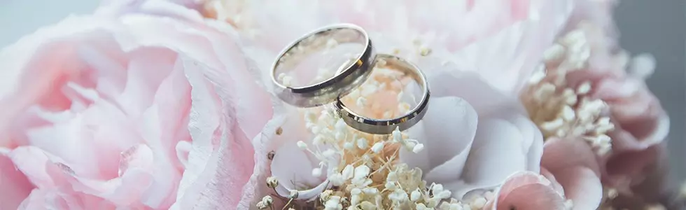 Why Choose A Horse And Carriage Wedding Why Choose A Horse And Carriage Wedding