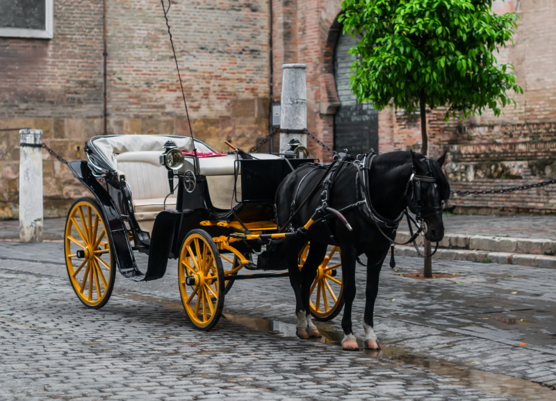 Horse Drawn Cremation Funeral - Hockley, Essex and London