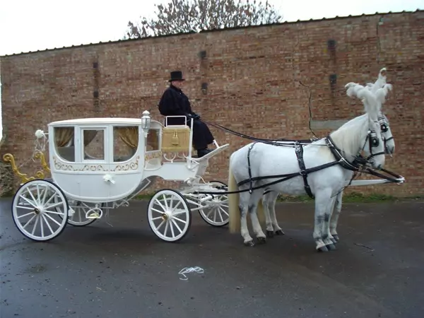 horse drawn carriage for prom night