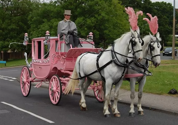 Prom Night Horse-Drawn Taxi Chelmsford