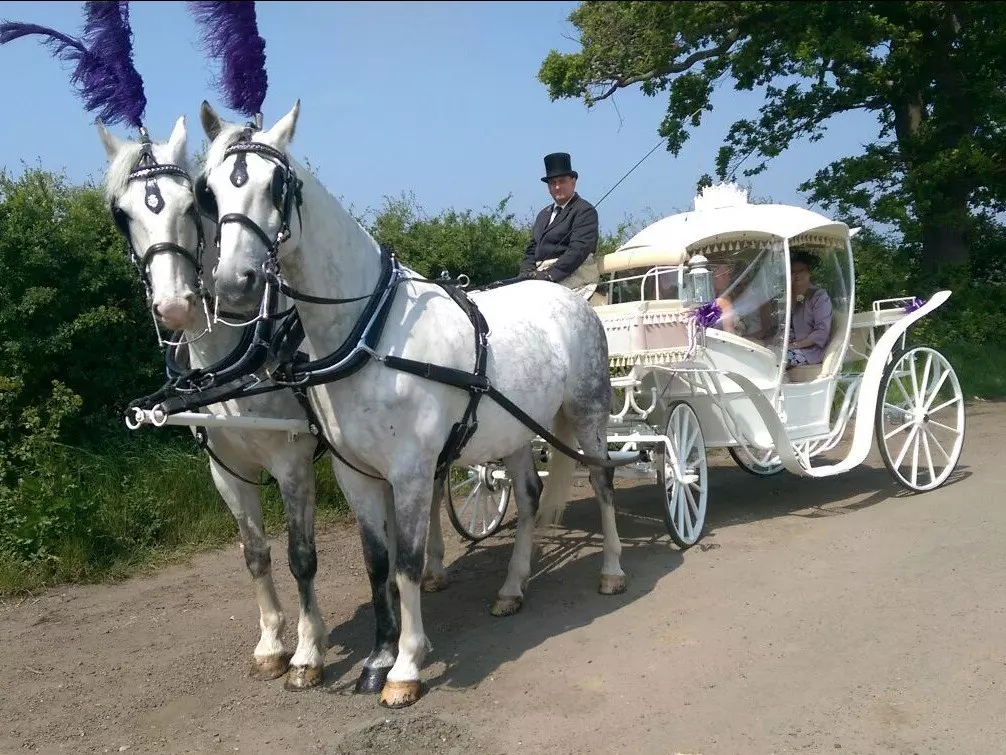 Horse-Drawn Carriage For Special Occasions Canvey Island