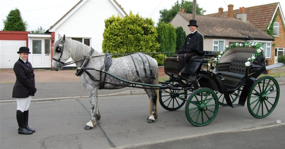 Canvey Island Horse Drawn Carriages