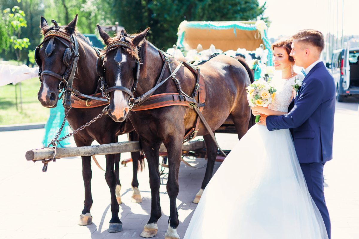 Kensington Horse Drawn Carriages | Horse And Carriage Hire Kensington 